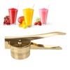Lemon Squeezer Stainless Steel Long Handle Hand Held Juice Press