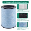 Asheviller AP300 Filter Replacement, Compatible with Instant® AP300 Air Purifier,