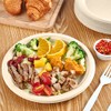 Vplus 500 Pack Paper Plates 9 inch 100% Compostable, Heavy-Duty