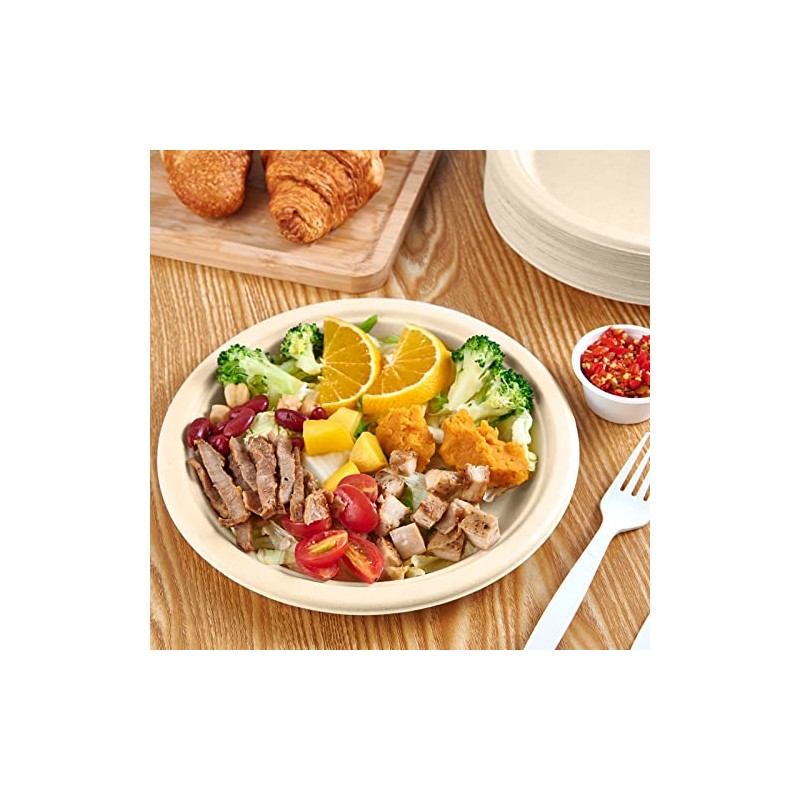 Vplus 500 Pack Paper Plates 9 inch 100% Compostable, Heavy-Duty