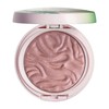 Physicians Formula Murumuru Butter Blush Makeup Powder, Saucy Mauve, Dermatologist