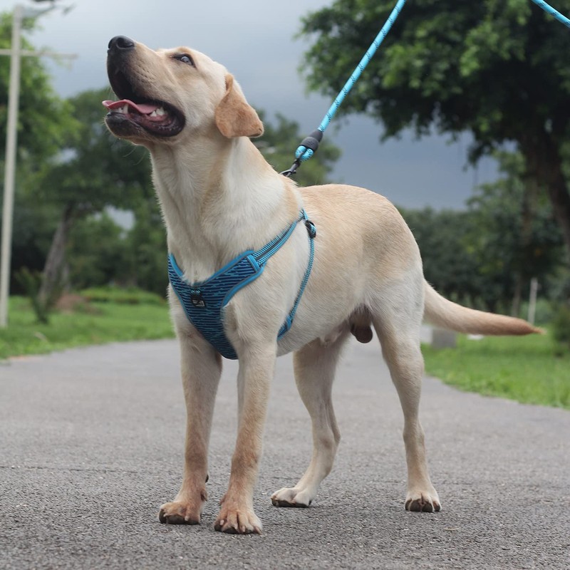 Suredoo Adjustable Dog Harness with Front Clip, No Pull Soft