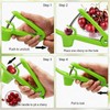 Cherry and Olive Pitter Tool, 2 Pcs Fruit Stone Remover,