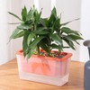 AIMALL Self-Watering Square Planter for Indoor Gardening, Balcony Vegetable Pot