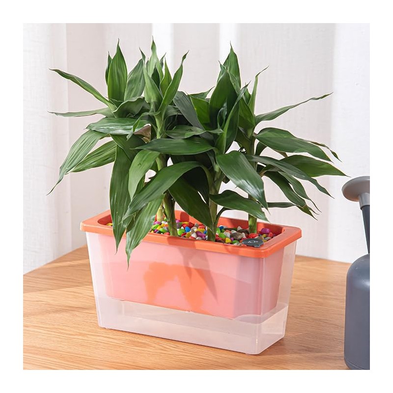 AIMALL Self-Watering Square Planter for Indoor Gardening, Balcony Vegetable Pot