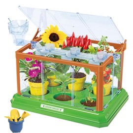 BEIGEMEI Kids Plant Growing Kit, Mini Garden Greenhouse Plant Starter Kit, Flower Growing Kit & Terrarium Kit for Kids