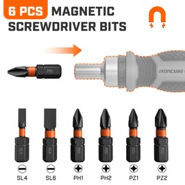 IRONCUBE 6 Pcs Bits Set, Mutli Screwdriver Bits for Interchangeable Ratchet Handle - PH1,PH2,PZ1,PZ2,SL4,SL6