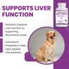 Milk Thistle for Dogs with High Potency Liver Health Supplement