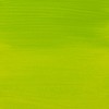 Royal Talens Amsterdam Standard Acrylic Paint 250Ml-Yellowish Green