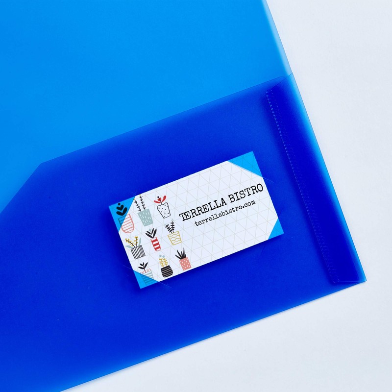Avery Translucent Two Pocket Folder, Water Resistant, Holds up to