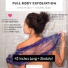 Bellanomi Esponjas exfoliantes africanas BELLANOMI Sapo (paquete de 2) –