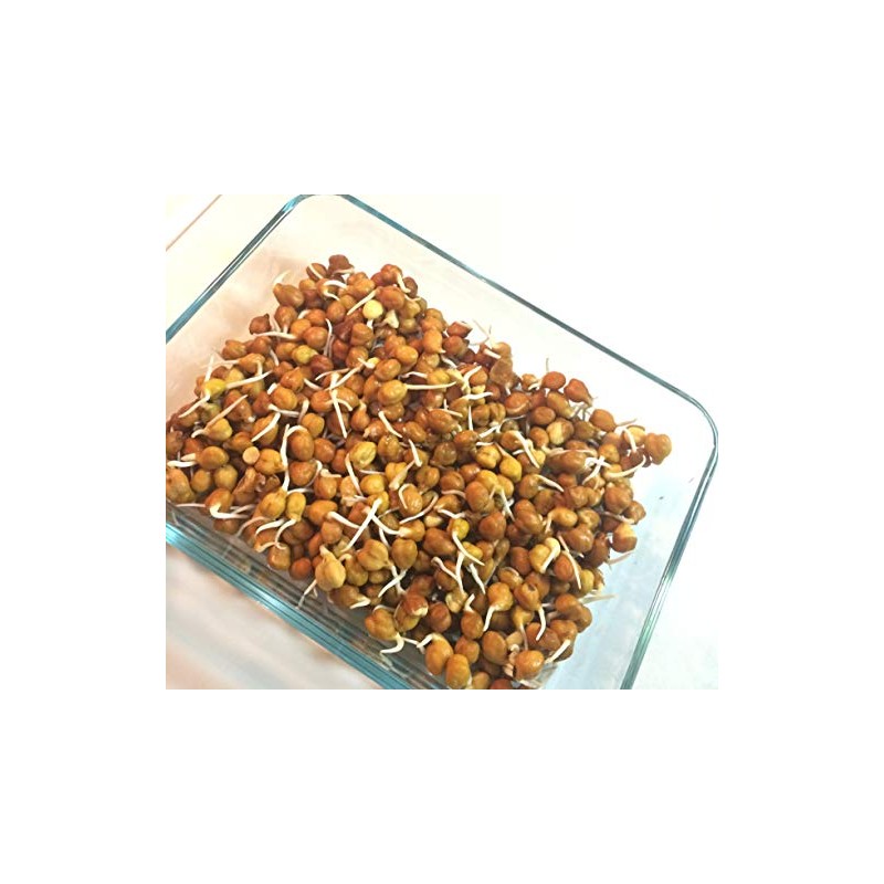 Desi Kitchen Kala Chana (small black garbanzo) 2LB By Rani