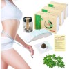 Natural Wormwood Belly Patch Set - 90 Pcs Moxibustion &