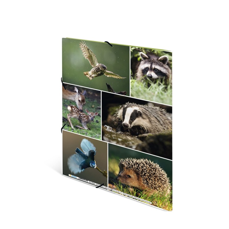 HERMA 19341 Portfolio Folder A4 Animal Worlds Forest Animals, Children's