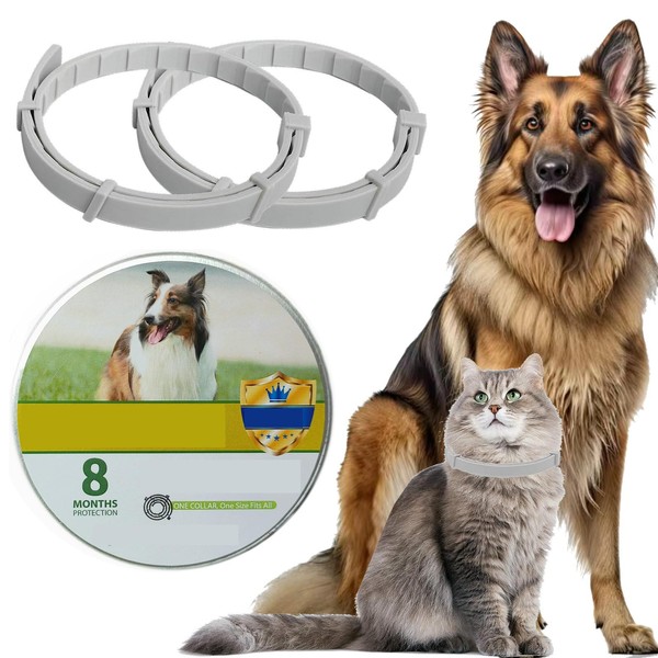 FeiMar 2 Pack Collar for Dog, Safe and Waterproof