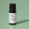 Plant Therapy Aceite Esencial De Eucalipto Orgánico 10ml
