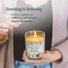 Magnificent 101 Pure Sage Energy Cleansing Aromatherapy Glass Candle for