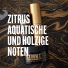 STMNT STATEMENT GROOMING GOODS Wax Powder 15g | Halbmattes Finish