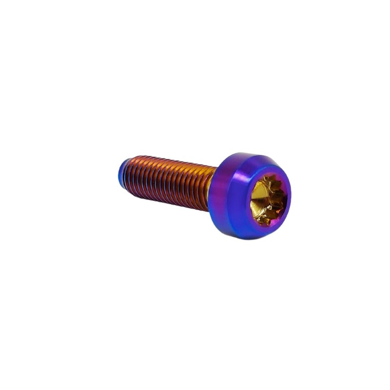 Rison Titanium Screw, M7 x 1 x 24.5 mm, M7