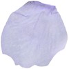 Darice RC-7209-51 Decorative Satin Loose Rose Petals, Purple, 100-Pack