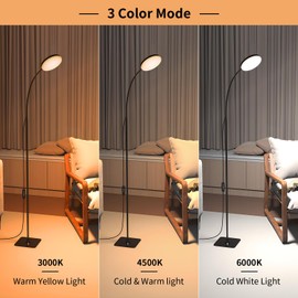 Mojimdo 168 LED Floor Lamp with Remote Control, 2-in-1 Convertible Floor/Desk Lamp, 360° Adjustable Gooseneck, [3 Color Temperatures & 10 Brightness Levels], 10W USB Powered, Memory Function