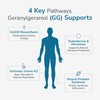 WELLNESS EXTRACT GG Essential Annatto Derived Dietary Supplement for Statin
