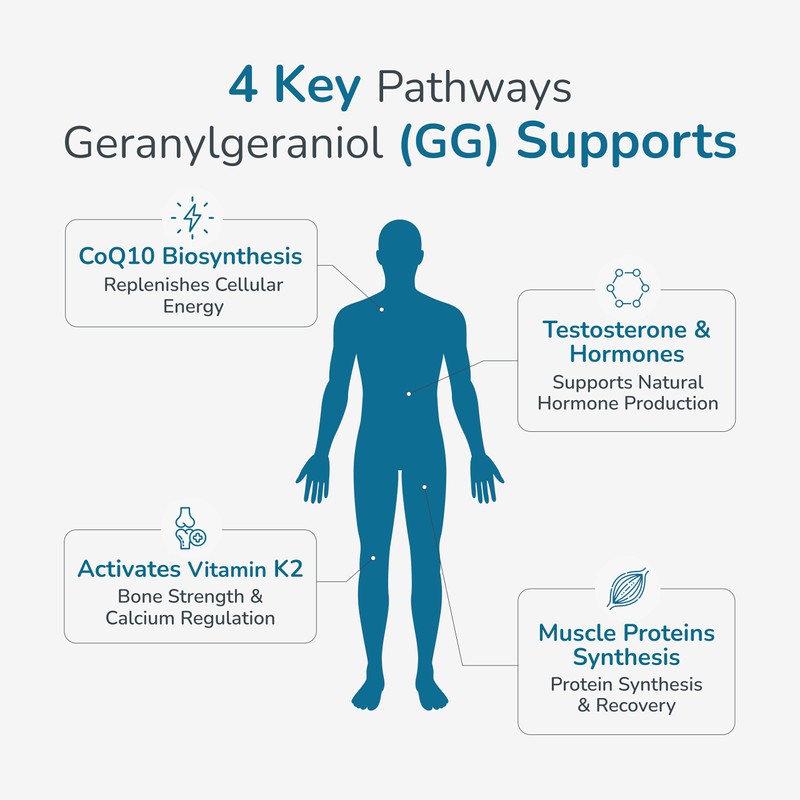 WELLNESS EXTRACT GG Essential Annatto Derived Dietary Supplement for Statin