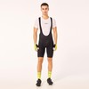Oakley Men's Icon Classic Bib, Black/Sulphur