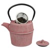 Creative Home Kyusu Cast Iron Pot Tea Kettle with Removable