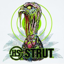 Hunters Specialties Dead Strut Turkey Targets (Pack of 12)