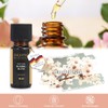 pajoma pajoma Duft?l 10 ml, Mandelblte - Golden Line |