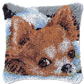 ROCKY&CHAO Latch Hook Cushion Kits, Latch Hook Pillow Case Kits Embroidery Kits Carpet Set17X17Inch, DIY Needlework Pillow Cover Sofa Cushion Rug Making Kits, DIY Craft Kits (43x43 cm)