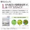Koh Gen Do Oriental Plants Fermentation Lotion - 60, 10.1