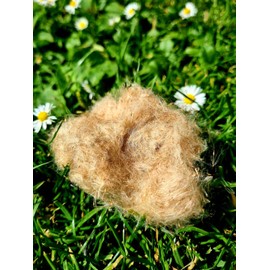 Natürliche Lebensfreude - Tinder from cattail seeds - bushcraft - outdoor - survival - suitable for fire strikers / impact irons - lighting aid - Tinder - campfire - fire starter - fire steel