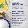 Dr Teal's Pure Epsom Salt Soaking Solution Prebiotic Lemon Balm