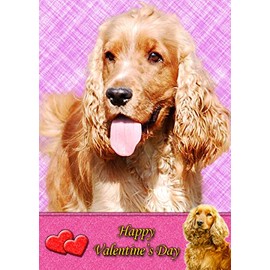Cocker Spaniel Dog Valentines Day Card