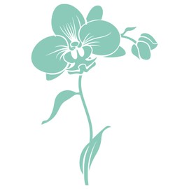 GRAZDesign Blumen Wandattoo Orchidee Blüte Wandaufkleber Wohnzimmer, Flur, Küche auf Wand, Schrank, Tür - 57x40cm / mint