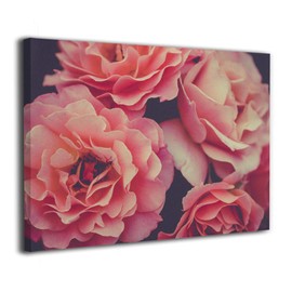 Tour Edge Hot Launch E525 VIBRCOR Lob Wedge 60* (Graphite UST Helium Black, Regular, Left) 2025