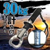 Fabulous-do Fish Grip, 66.1 lbs (30 kg) Scale, Catcher, Pliers,