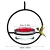 Shawleyard 2025 New Model 3 Pack Humble Slim Hummingbird Feeder