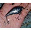 wLure Square bill Crankbait Fishing WLure 2 3/4" .40 oz