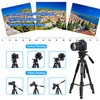 65" Camera Tripod,Q310 Lightweight Travel Portable Cell Phone Tripod Stand