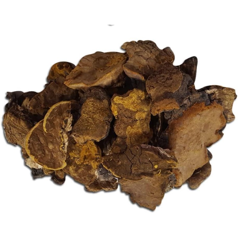 Organic Natural Pure Phellinus Linteus Mushroom Dried Bulk Herbs (3.52