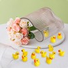 Mini Resin Ducks, Pack of 100 Mini Duck Figures, Mini