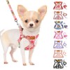 SlowTon Dog Harness Small Sized Dog - Soft XXS Dog