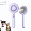 Cat Steam Brush, 3 in 1 Cat Brush for Shedding