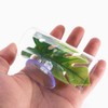 WantsGin 2-Pack Betta Fish Toys, Acrylic Tube Tunnel & Leaf