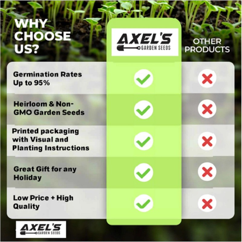Axel's Garden Seeds Lemon Mint Seeds | Non-GMO | Heirloom