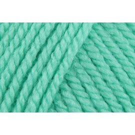 Stylecraft Special Chunky Crochet Yarn, 100% Acrylic Knitting Wool for Blankets, Cushion Covers, Toys, Jumpers - 100g Ball - Green (1116) - Single (1 Ball)