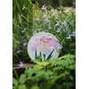 RHS The Royal Horticultural Society Embroidery Hoop Decoration Kit, Japanese